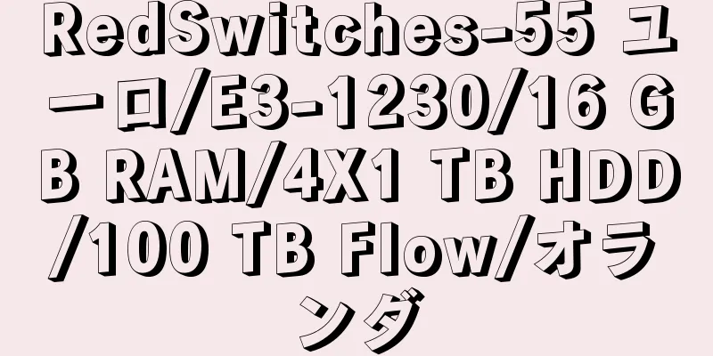 RedSwitches-55 ユーロ/E3-1230/16 GB RAM/4X1 TB HDD/100 TB Flow/オランダ