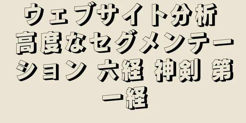 ウェブサイト分析 高度なセグメンテーション 六経 神剣 第一経