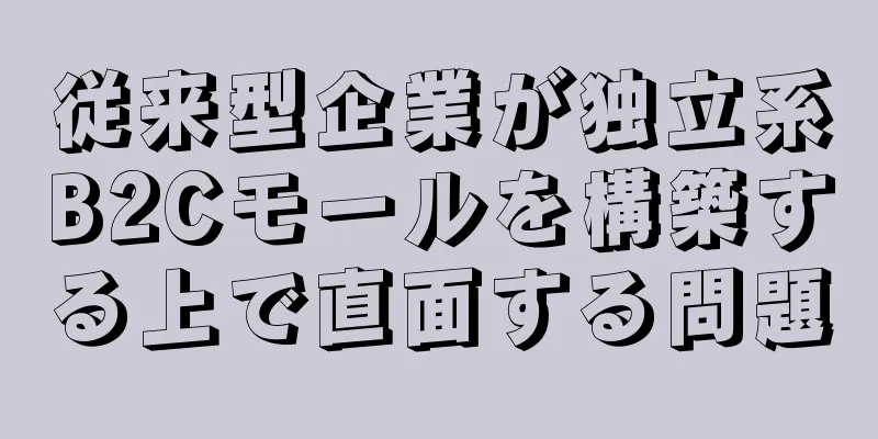 従来型企業が独立系B2Cモールを構築する上で直面する問題