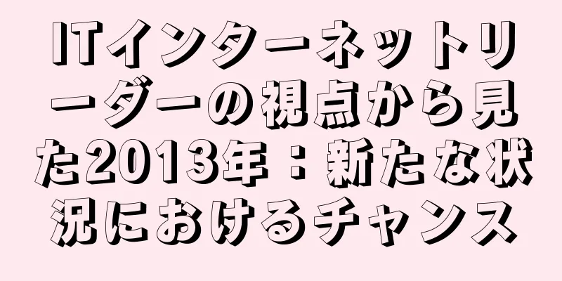 ITインターネットリーダーの視点から見た2013年：新たな状況におけるチャンス