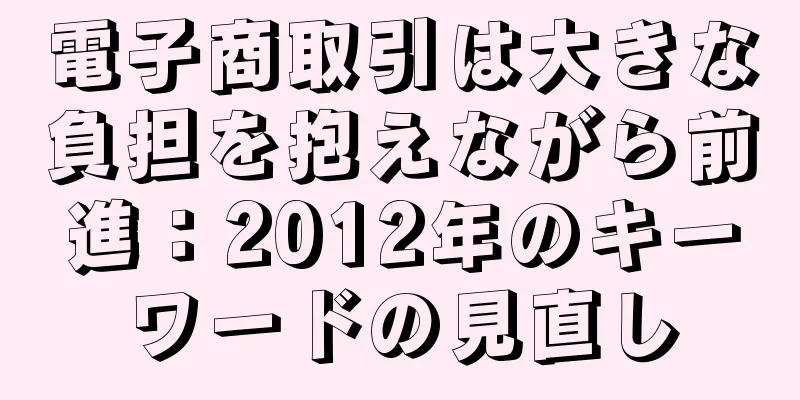 電子商取引は大きな負担を抱えながら前進：2012年のキーワードの見直し