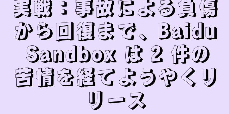 実戦：事故による負傷から回復まで、Baidu Sandbox は 2 件の苦情を経てようやくリリース