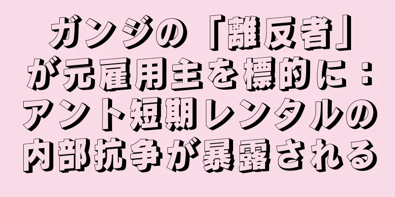 ガンジの「離反者」が元雇用主を標的に：アント短期レンタルの内部抗争が暴露される