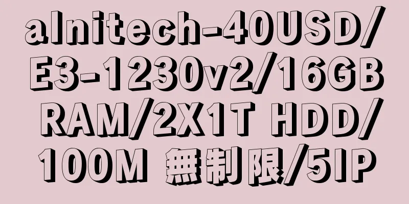 alnitech-40USD/E3-1230v2/16GB RAM/2X1T HDD/100M 無制限/5IP