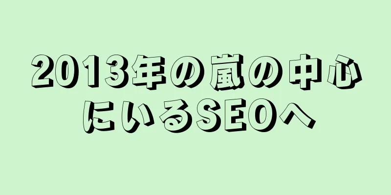 2013年の嵐の中心にいるSEOへ