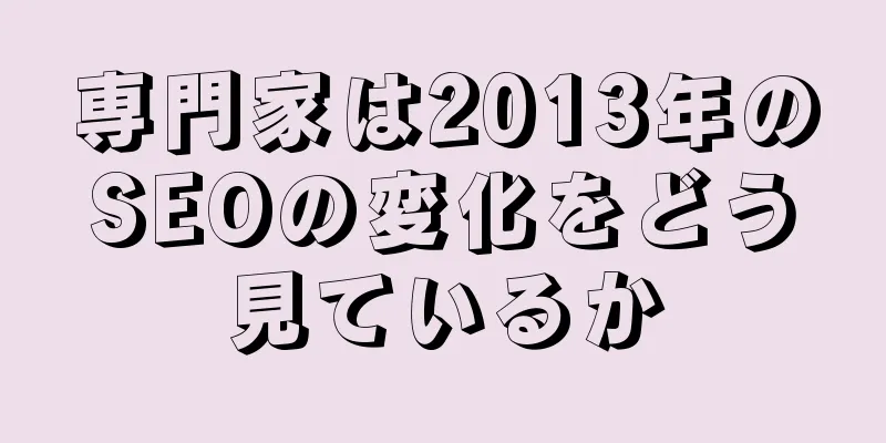 専門家は2013年のSEOの変化をどう見ているか