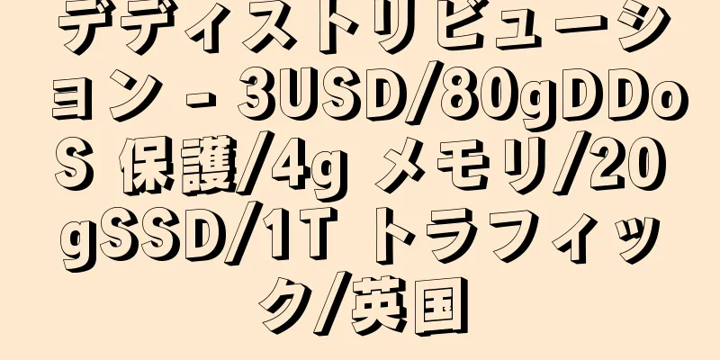 デディストリビューション - 3USD/80gDDoS 保護/4g メモリ/20gSSD/1T トラフィック/英国