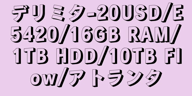 デリミタ-20USD/E5420/16GB RAM/1TB HDD/10TB Flow/アトランタ