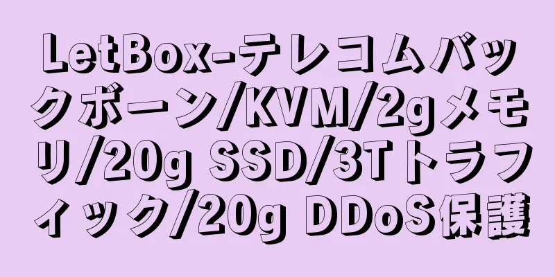LetBox-テレコムバックボーン/KVM/2gメモリ/20g SSD/3Tトラフィック/20g DDoS保護