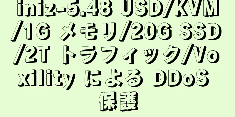 iniz-5.48 USD/KVM/1G メモリ/20G SSD/2T トラフィック/Voxility による DDoS 保護