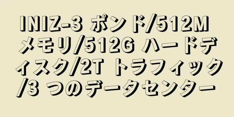 INIZ-3 ポンド/512M メモリ/512G ハードディスク/2T トラフィック/3 つのデータセンター