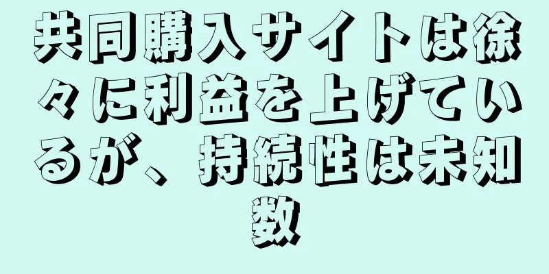 共同購入サイトは徐々に利益を上げているが、持続性は未知数
