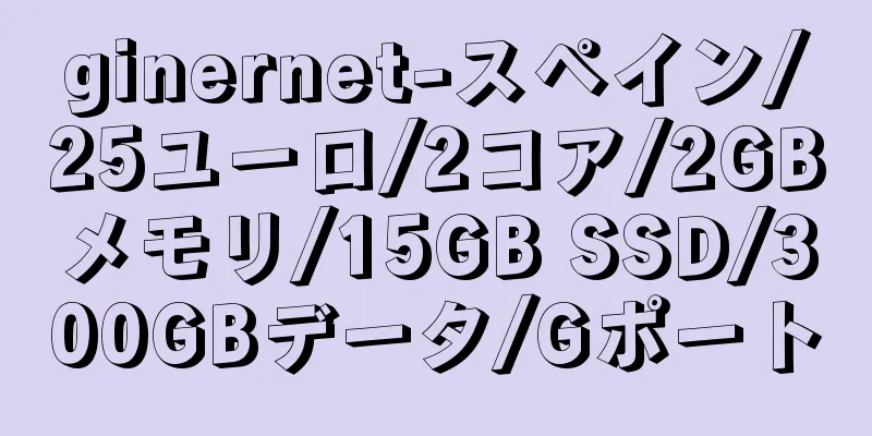 ginernet-スペイン/25ユーロ/2コア/2GBメモリ/15GB SSD/300GBデータ/Gポート