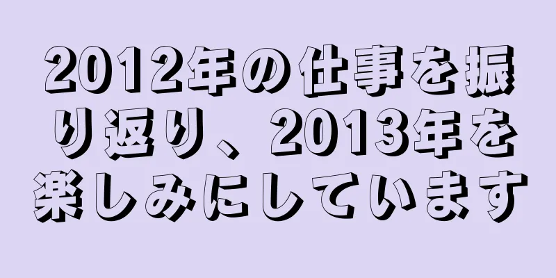 2012年の仕事を振り返り、2013年を楽しみにしています