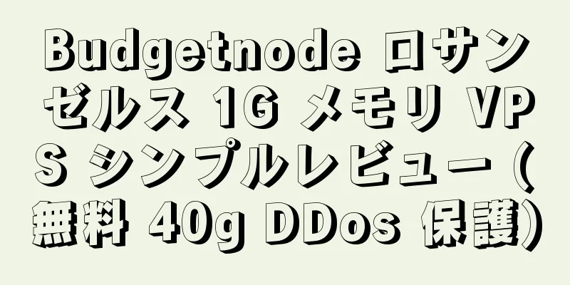 Budgetnode ロサンゼルス 1G メモリ VPS シンプルレビュー (無料 40g DDos 保護)