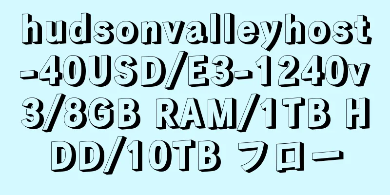 hudsonvalleyhost-40USD/E3-1240v3/8GB RAM/1TB HDD/10TB フロー