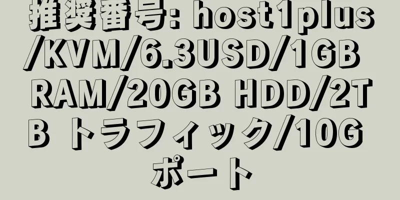 推奨番号: host1plus/KVM/6.3USD/1GB RAM/20GB HDD/2TB トラフィック/10G ポート