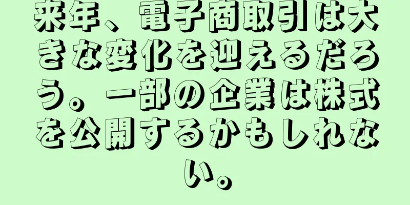 来年、電子商取引は大きな変化を迎えるだろう。一部の企業は株式を公開するかもしれない。