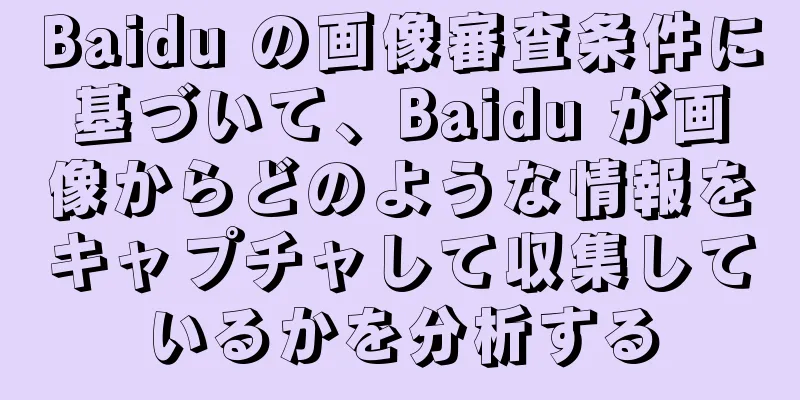 Baidu の画像審査条件に基づいて、Baidu が画像からどのような情報をキャプチャして収集しているかを分析する