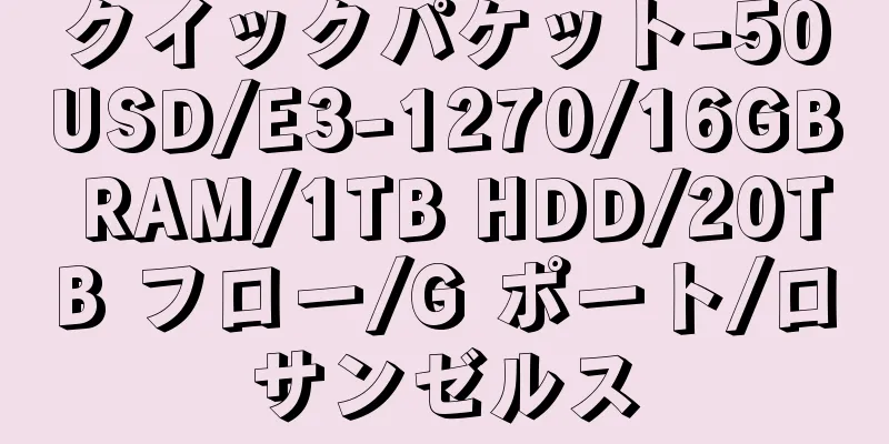 クイックパケット-50USD/E3-1270/16GB RAM/1TB HDD/20TB フロー/G ポート/ロサンゼルス