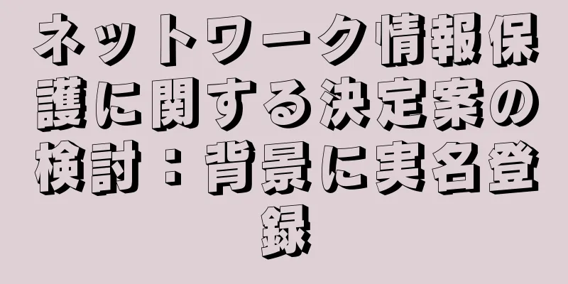 ネットワーク情報保護に関する決定案の検討：背景に実名登録