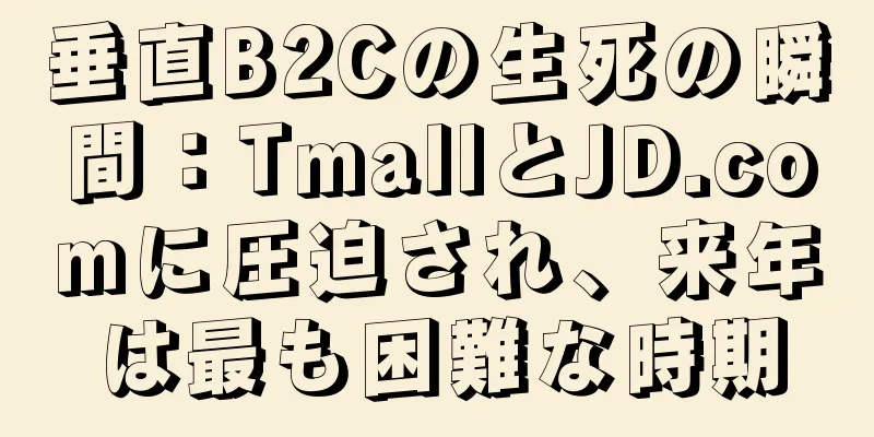 垂直B2Cの生死の瞬間：TmallとJD.comに圧迫され、来年は最も困難な時期