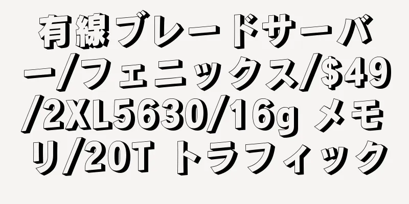 有線ブレードサーバー/フェニックス/$49/2XL5630/16g メモリ/20T トラフィック