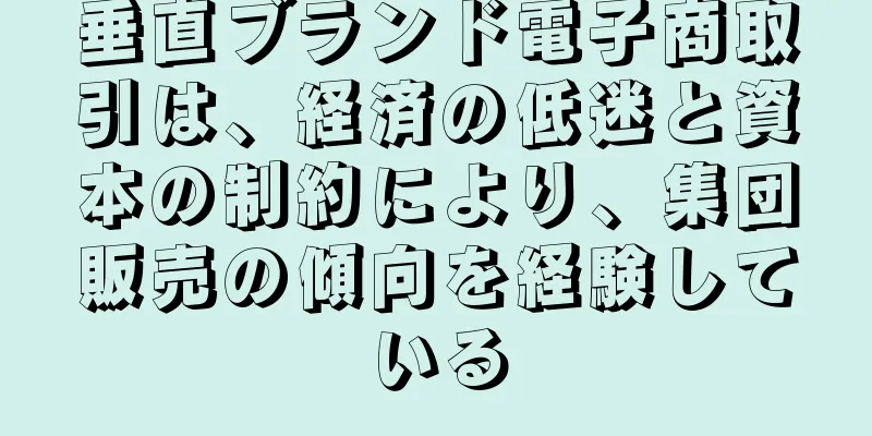 垂直ブランド電子商取引は、経済の低迷と資本の制約により、集団販売の傾向を経験している