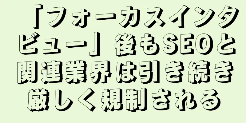 「フォーカスインタビュー」後もSEOと関連業界は引き続き厳しく規制される
