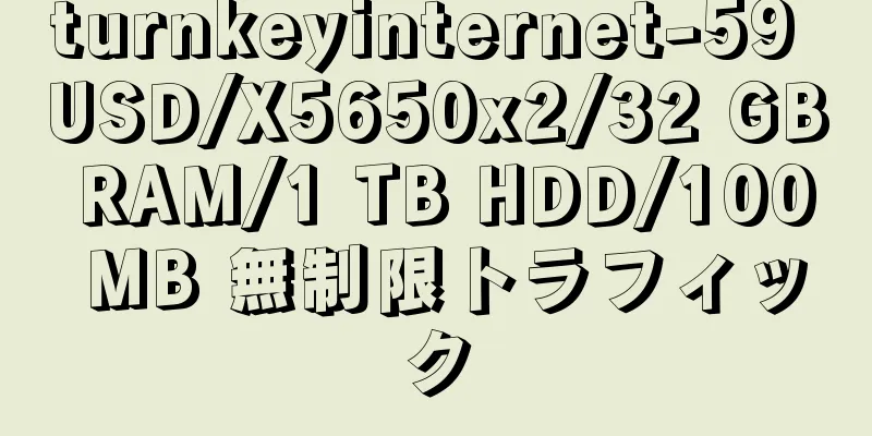 turnkeyinternet-59 USD/X5650x2/32 GB RAM/1 TB HDD/100 MB 無制限トラフィック