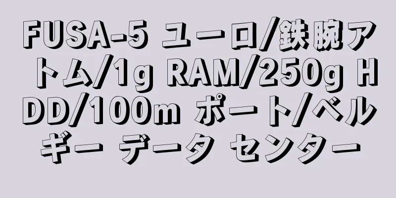 FUSA-5 ユーロ/鉄腕アトム/1g RAM/250g HDD/100m ポート/ベルギー データ センター