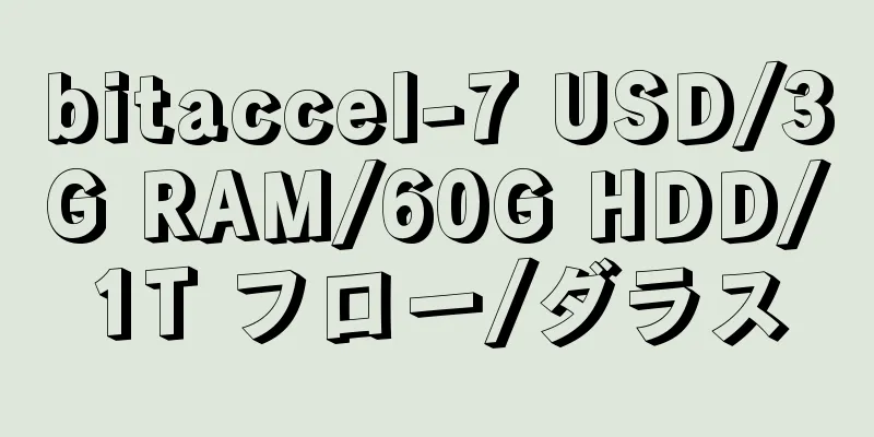 bitaccel-7 USD/3G RAM/60G HDD/1T フロー/ダラス