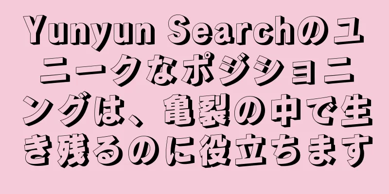 Yunyun Searchのユニークなポジショニングは、亀裂の中で生き残るのに役立ちます
