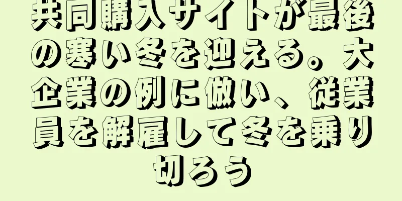 共同購入サイトが最後の寒い冬を迎える。大企業の例に倣い、従業員を解雇して冬を乗り切ろう