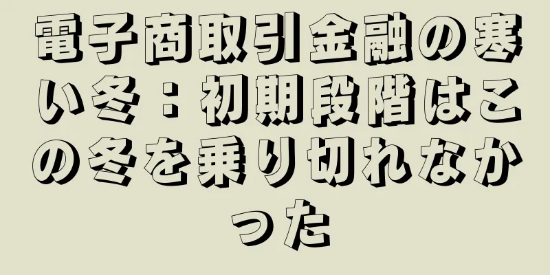 電子商取引金融の寒い冬：初期段階はこの冬を乗り切れなかった
