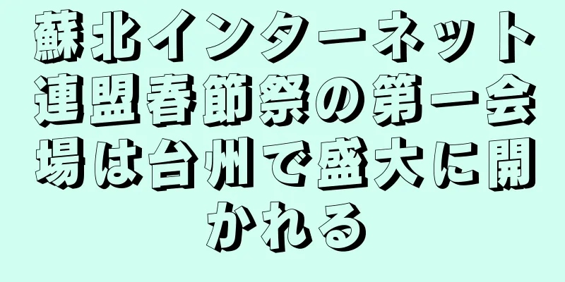蘇北インターネット連盟春節祭の第一会場は台州で盛大に開かれる