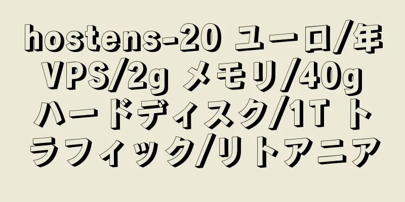 hostens-20 ユーロ/年 VPS/2g メモリ/40g ハードディスク/1T トラフィック/リトアニア