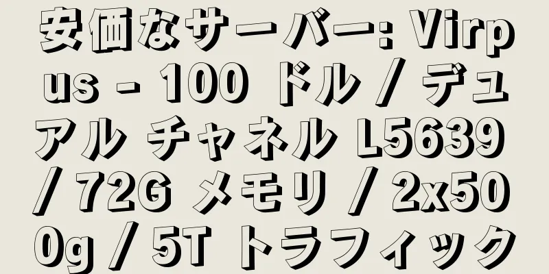 安価なサーバー: Virpus - 100 ドル / デュアル チャネル L5639 / 72G メモリ / 2x500g / 5T トラフィック