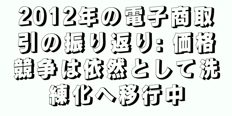 2012年の電子商取引の振り返り: 価格競争は依然として洗練化へ移行中