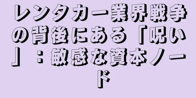 レンタカー業界戦争の背後にある「呪い」：敏感な資本ノード