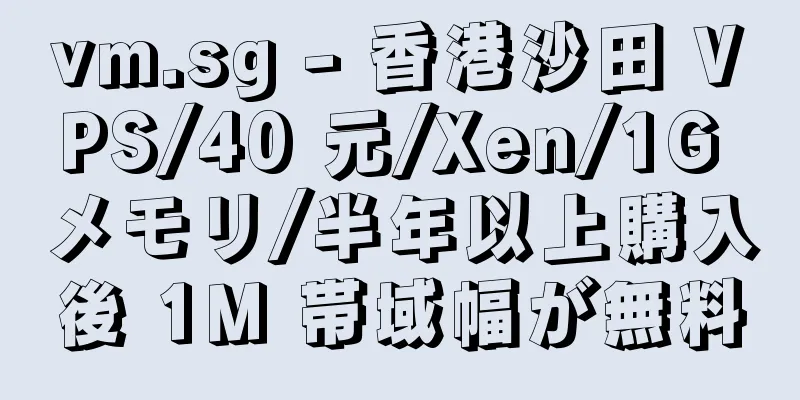 vm.sg - 香港沙田 VPS/40 元/Xen/1G メモリ/半年以上購入後 1M 帯域幅が無料