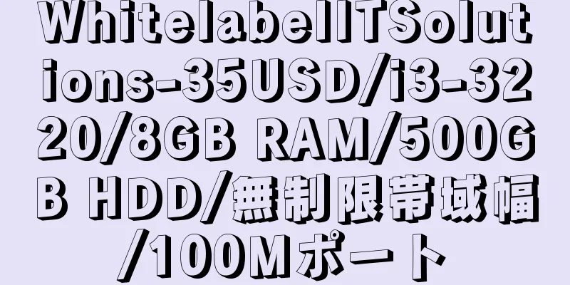 WhitelabelITSolutions-35USD/i3-3220/8GB RAM/500GB HDD/無制限帯域幅/100Mポート