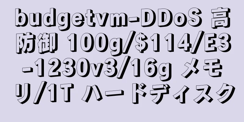 budgetvm-DDoS 高防御 100g/$114/E3-1230v3/16g メモリ/1T ハードディスク
