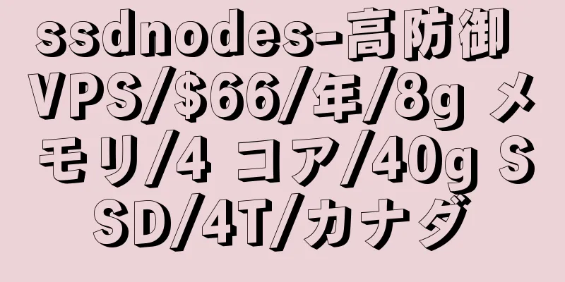 ssdnodes-高防御 VPS/$66/年/8g メモリ/4 コア/40g SSD/4T/カナダ