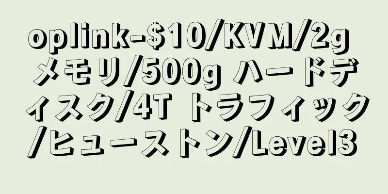 oplink-$10/KVM/2g メモリ/500g ハードディスク/4T トラフィック/ヒューストン/Level3