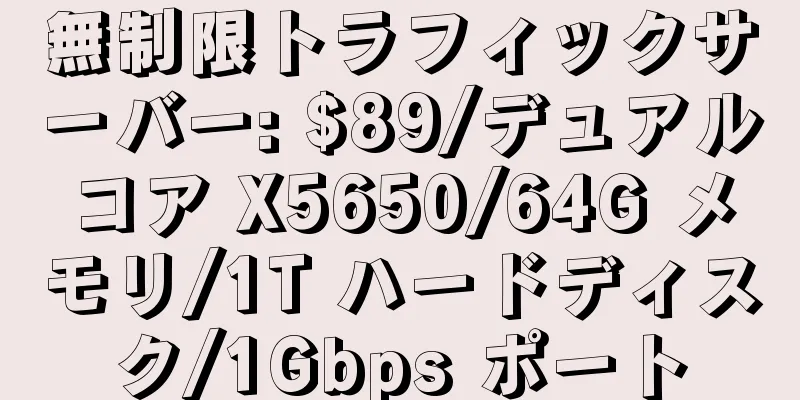 無制限トラフィックサーバー: $89/デュアルコア X5650/64G メモリ/1T ハードディスク/1Gbps ポート