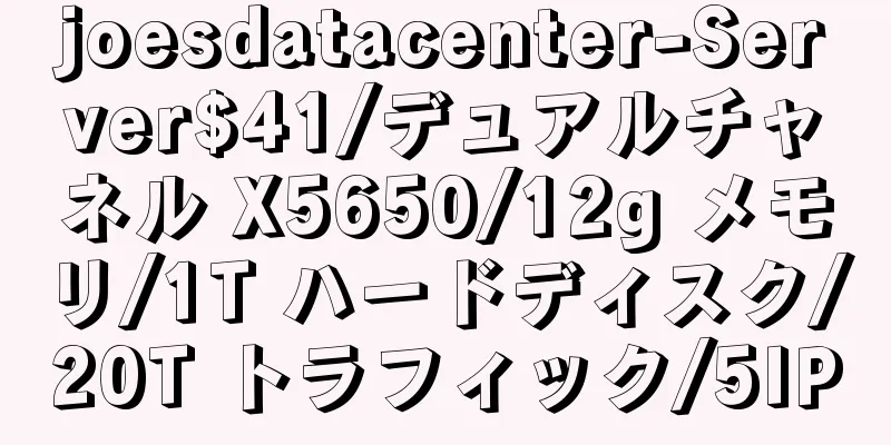 joesdatacenter-Server$41/デュアルチャネル X5650/12g メモリ/1T ハードディスク/20T トラフィック/5IP