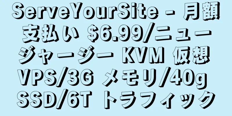 ServeYourSite - 月額支払い $6.99/ニュージャージー KVM 仮想 VPS/3G メモリ/40g SSD/6T トラフィック