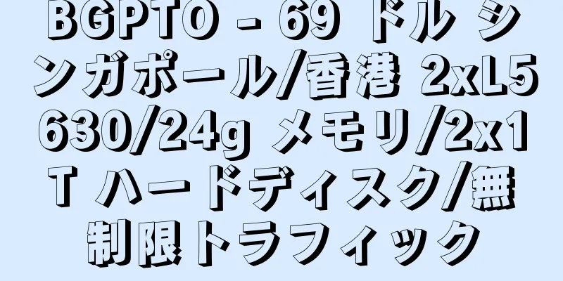 BGPTO - 69 ドル シンガポール/香港 2xL5630/24g メモリ/2x1T ハードディスク/無制限トラフィック