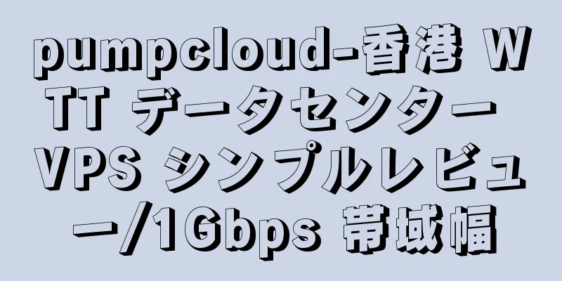 pumpcloud-香港 WTT データセンター VPS シンプルレビュー/1Gbps 帯域幅